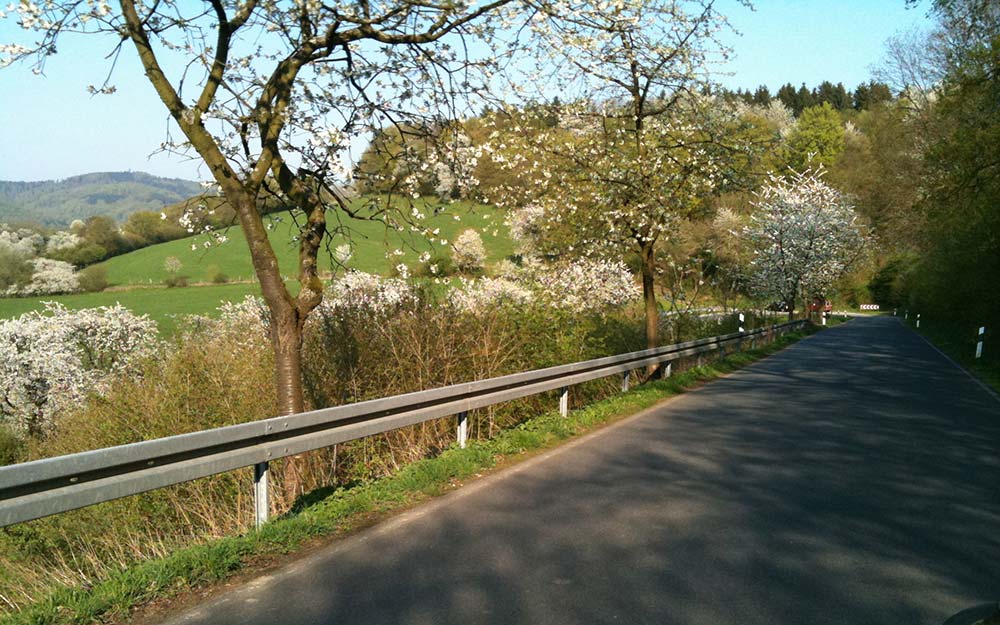 Kirschblüte in der Rühler Schweiz